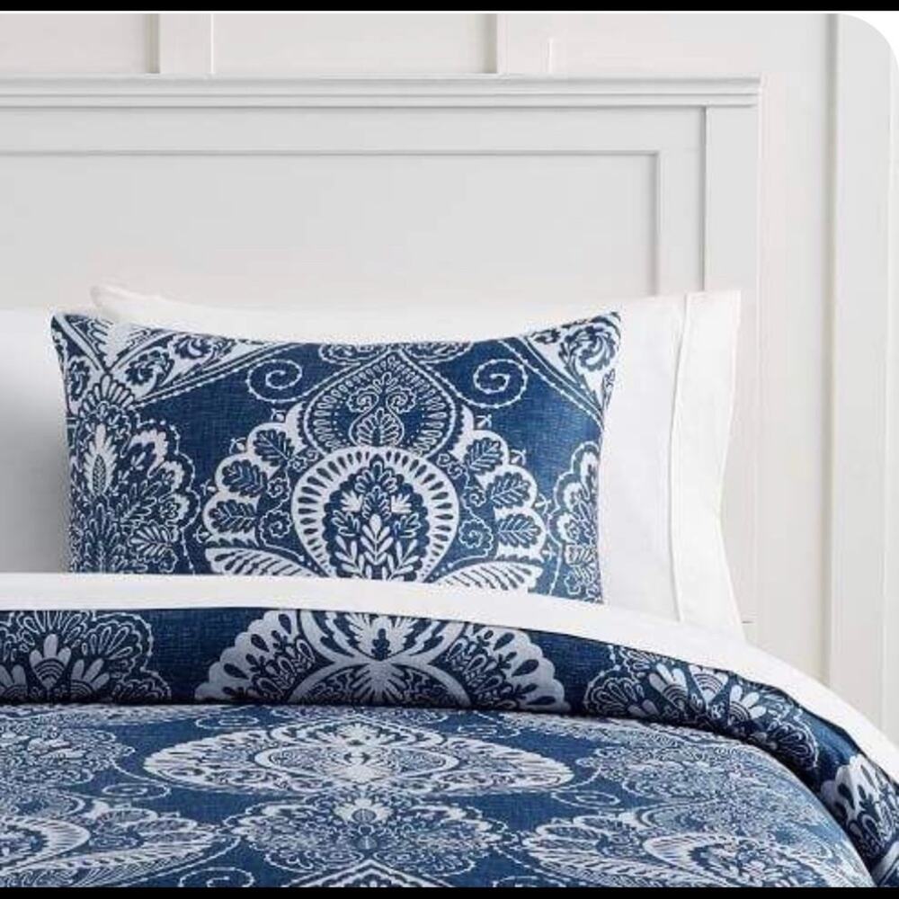 Pottery Barn Luna Paisley Shams